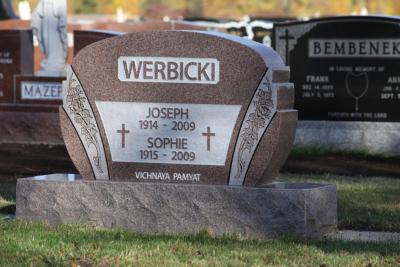 Werbicki Review